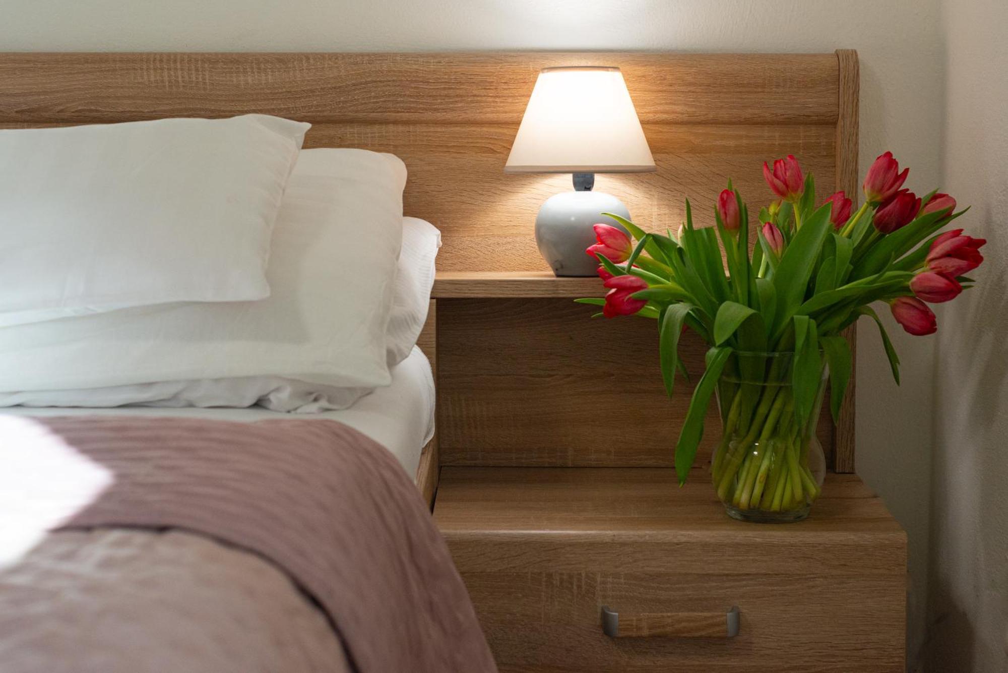 Tulipan 3*